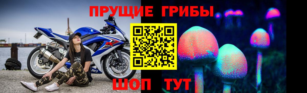 Ставрополь  продажа наркотиков  Вход с VPN  Галлюциногенные грибы мицелий 